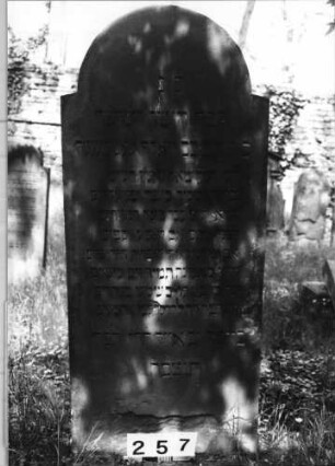 Grabstein 257 (Index: 99629758) Material: Sandstein Zustand: unten abgeblättert Maße HxBxT: 150x64x9 cm Beschreibung: Stele mit eingezogenem Rundbogenabschluß: Grabstein 257