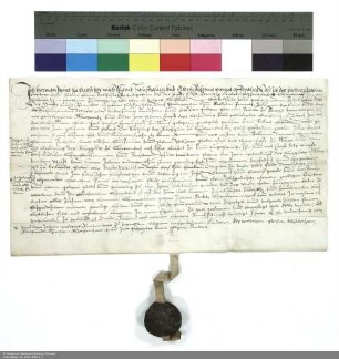 Revers Hermann Paulis bezüglich der Belehnung mit der Hälfte eines Freihofs in Maar und der Nutzung des Burgguts in Lauterbach durch Balthasar [von Dernbach], Abt von Fulda