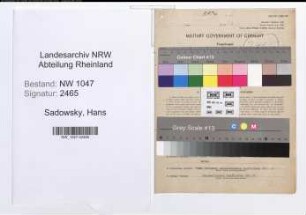 Entnazifizierung Hans Sadowsky , geb. 18.06.1896 (Kaufmann)