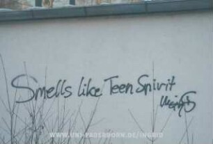 Smells like Teen Spirit