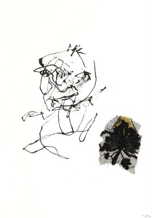 DUNKLE FLORA