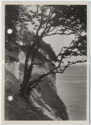 Insel Rügen, Steilküste