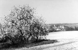 Wermsdorf-Mahlis. Blick vom Windmühlenberg