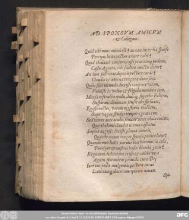 Ad Sponsum Amicum & Collegam.
