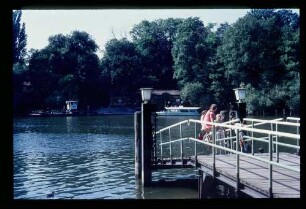 Pfaueninsel 14.8.71.
