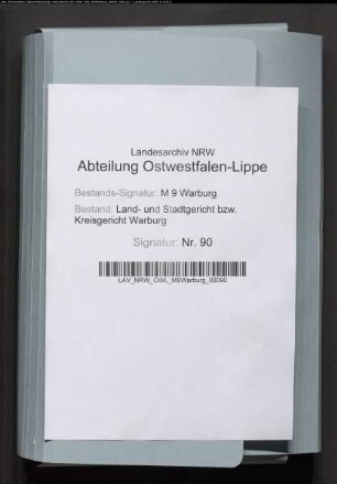 Ausschließung der ehelichen Gütergemeinschaft