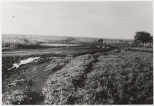 Straße und Treibeweg nach Campo Grande : Landschaft südlich von Campo Grande