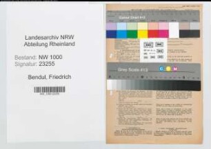 Entnazifizierung Friedrich Bendul, geb. 11.06.1902 (Verm.Techniker)