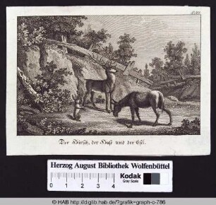 Der Hirsch, der Hase und der Esel