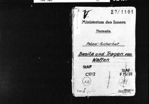 Waffenbesitz und Waffentragen