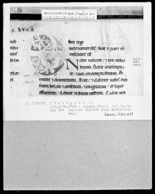 Bibel — Initiale E (stote ergo misericordes), Folio 36 verso
