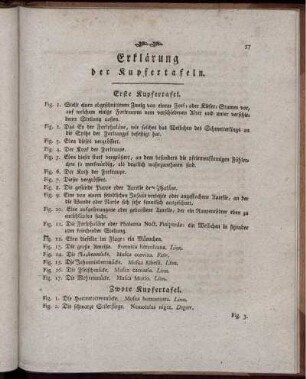 Erste Kupfertafel.