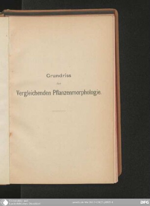 Vergleichende Pflanzenmorphologie
