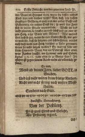 Zwölffte Betrachtung, Von der Pestilentz.