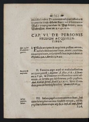 Cap. VI. De Personis Feudum Acquirentibus.
