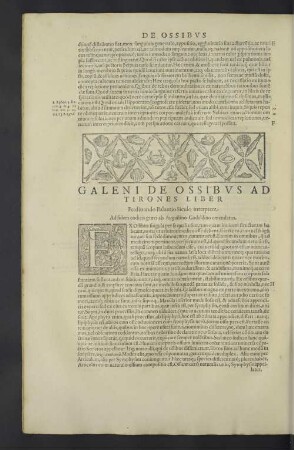 Galeni de ossibus ad tirones liber