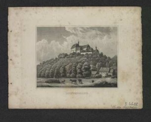 Ansicht von Schloss Lichtenwalde, Stahlstich, um 1840 : Lichtenwalde. - [Stuttgart] : [Scheible] , [um 1840]. - 1 Kunstbl. : Stahlst. ; 10 x 7 cm