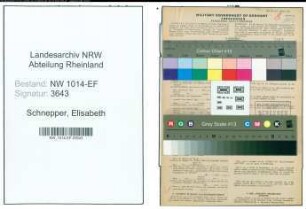 Entnazifizierung Elisabeth Schnepper , geb. 19.08.1897 (Lehrerin)