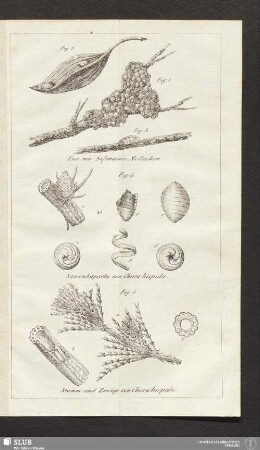 Fig: 1. Fig: 2. Fig: 3. Fig: 4. Fig: 5