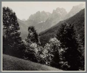 Blick auf Wald und Gebirge