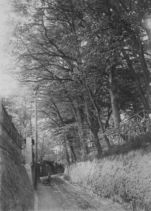 Stadtweg in Loschwitz vor der Verbreiterung : Stadtweg in Loschwitz vor der Verbreiterung. Fotografie von J. Aurig. Privatbesitz