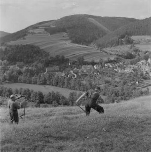 Bei Leutenberg (Kreis Saalfeld). Thüringer Wald, Männer beim Sensen