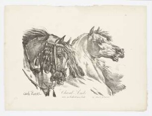 Cheval Arabe avec sa bride et sans bride, Blatt 1 der Folge "Große Folge von Pferden"