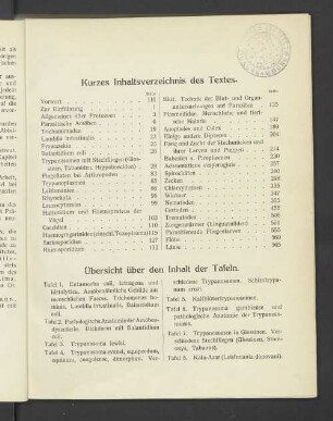 Kurzes Inhaltsverzeichnis des Textes.