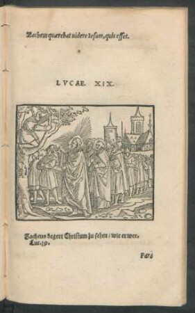 Lucae. XIX.