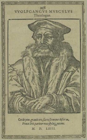 Bildnis des Wolfgang Musculus