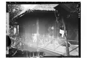 Wohnhaus Kurt Beyers : Phetchaburi. Dr. Kurt Beyers Haus, Blick auf die Veranda, im Vordergrund Affe Fips, 1909/1910