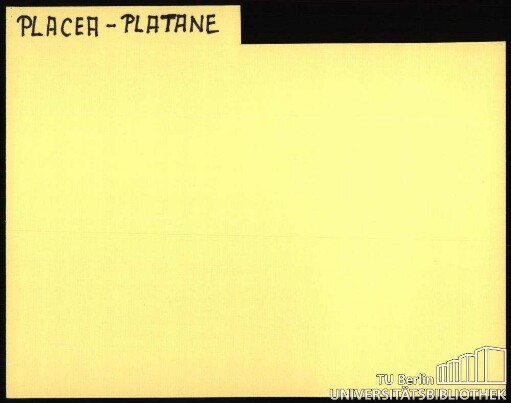 PLACEA-PLATANE