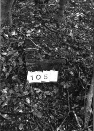 Grabstein 1052
