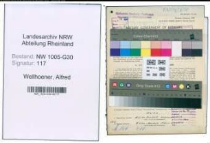 Entnazifizierung Alfred Wellhoener , geb. 20.01.1900 (Bahnarbeiter)