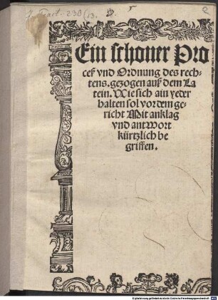 Ein schoner Proceß vnd Ordnung des rechtens : gezogen auß dem Latein. Wie sich ain yeder halten sol vor dem gericht Mit anklag vnd antwort körtzlich begriffen