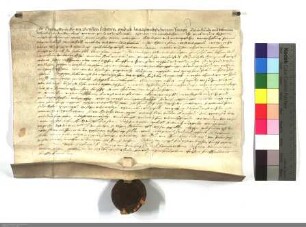 Cuntz Mengk zu Gross-Seelheim verkauft dem Deutschen Orden zu Marburg verschiedene Wiesen vor Seelheim für zehn fl.