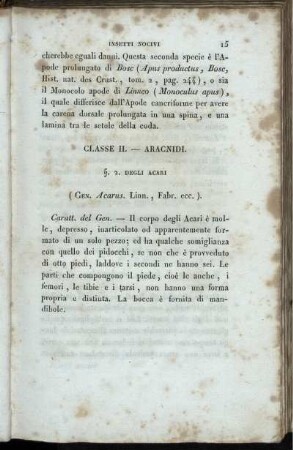 Classe II. - Aracnidi.