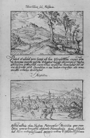 Ulrichstein, Stadtansicht mit Burg