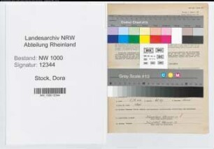 Entnazifizierung Dora Stock, geb. 02.12.1906 (Verw.Angest.)
