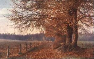 Herbst