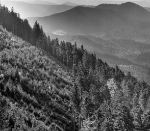 Der Hochschwarzwald im mittleren Schwarzwald