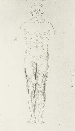 Mann von vorn ohne Arme : Dresdner Skizzenbuch (1507/1528). Mann von vorn ohne Arme (1507-1508, aus: R. Bruck: Das Skizzenbuch von Albrecht Dürer, Straßburg 1905, Tafel 53, Blatt 132 b, Str. 13, Kriegsverlust). Dresden: SLUB Mscr.Dresd.R.147.f
