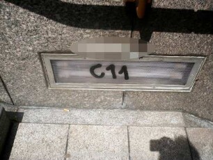C11
