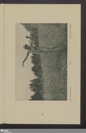 Auf der Waldwiese