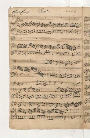 Sonata