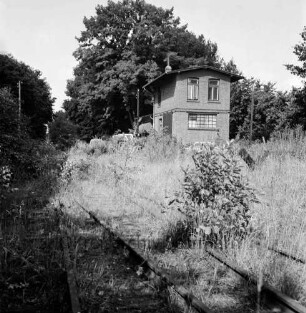 Bahnhof der Kleinbahnstrecke Elmshorn-Barmstedt-Oldesloer Eisenbahn (EBOE) mit überwucherten Gleisanlagen: im Hintergrund Bäume