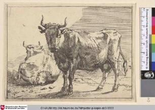 [Stehende Kuh dem Betrachter zugewandt, dahinter eine abgewandte liegende Kuh; A Cow Standing and Another Lying Down]