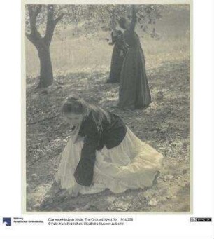 The Orchard