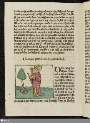 Von sant Patricio dem heyligen bischoff