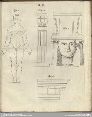 Pl. IX.